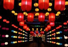 CHO THUÊ ĐÈN LỒNG CHO THUÊ ĐÈN LỒNG